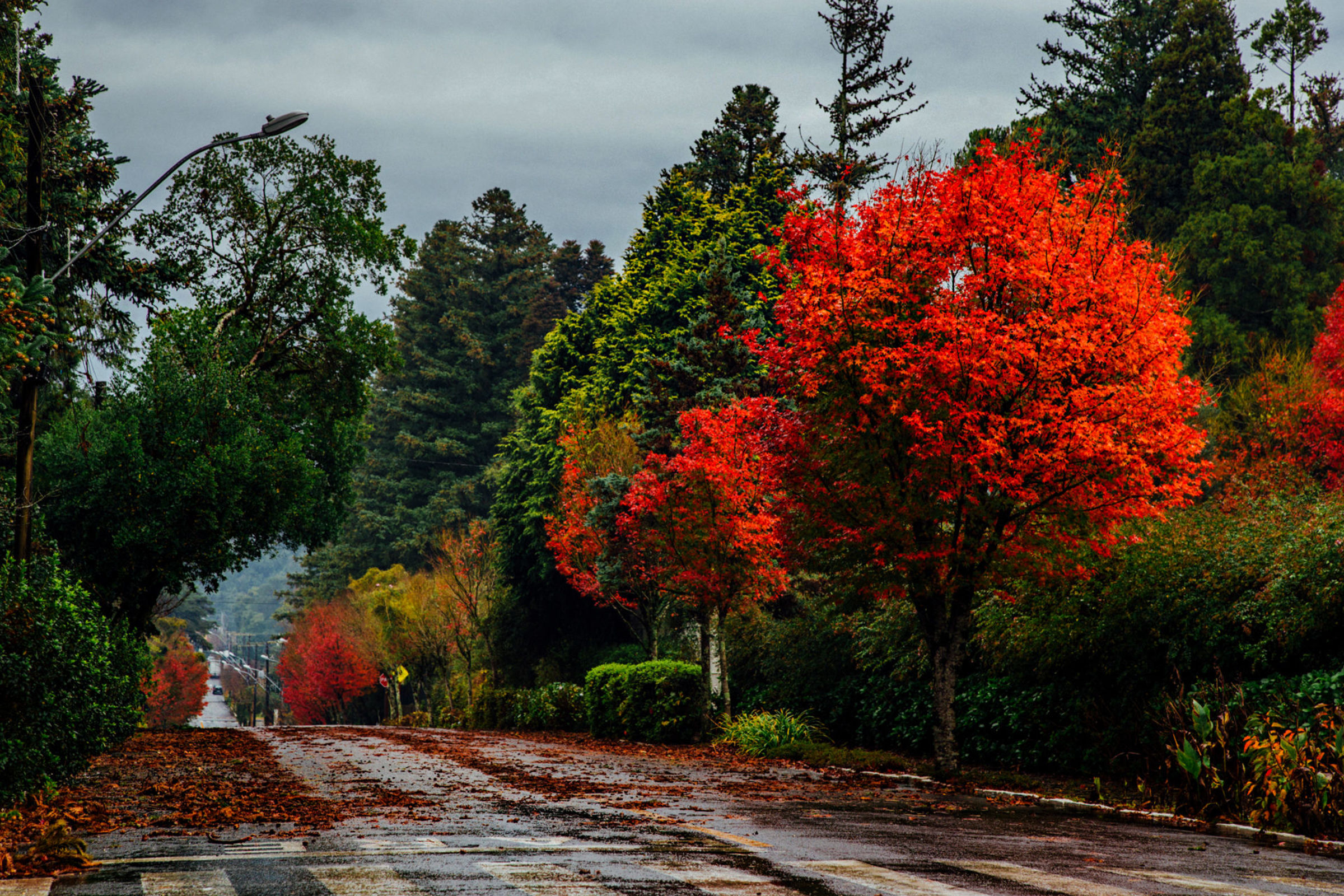 Foto de Sergio Azevedo Photos 20