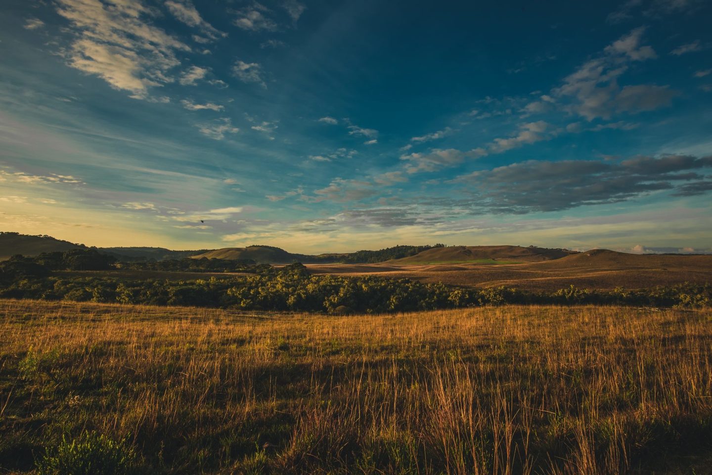 Parador Casa da Montanha - Alma Restaurante